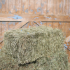 Economy 1st Cut Timothy Grass Mix
