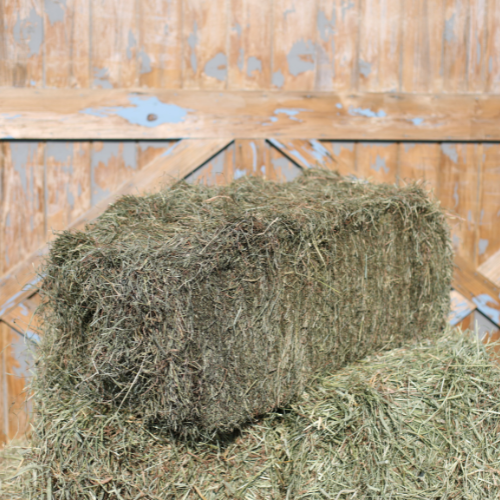 Economy 2nd Cut Timothy Grass Mix