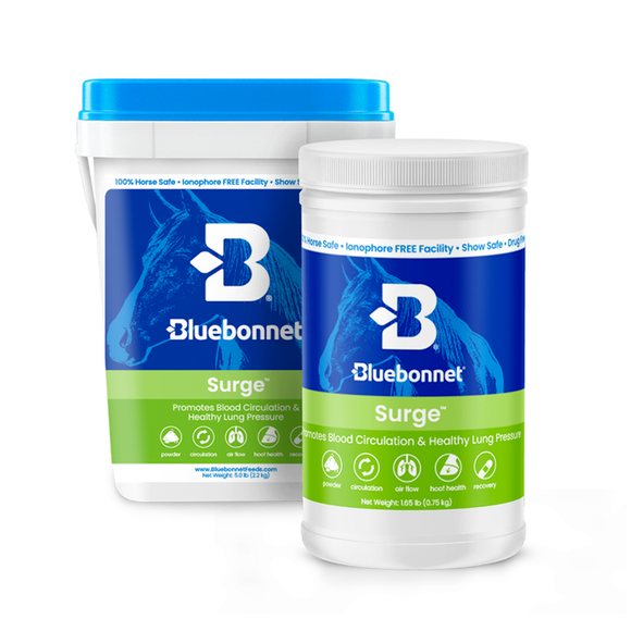 Bluebonnet Surge™ Powder