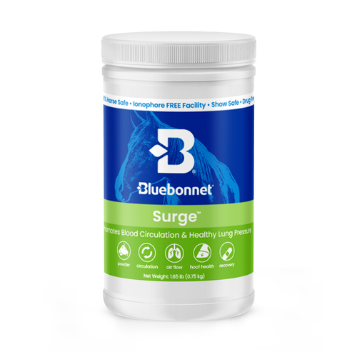 Bluebonnet Surge™ Powder
