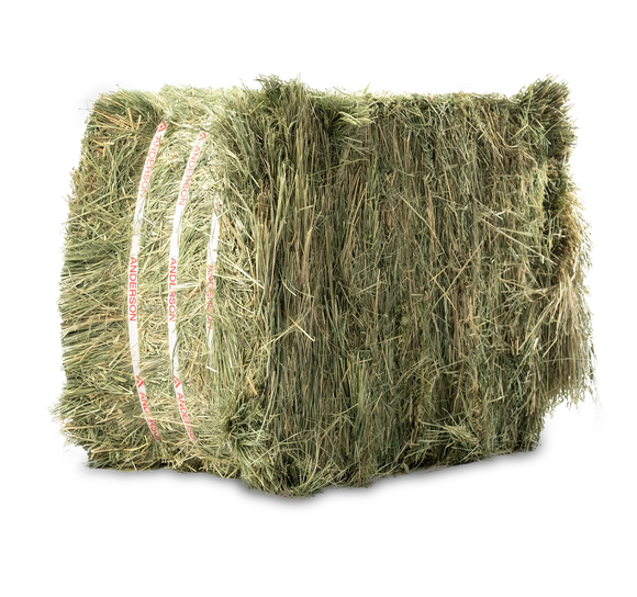 Anderson® Compressed Timothy Hay Bale