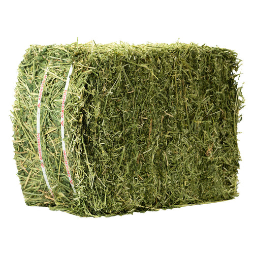 Anderson Hay and Grain Compressed Alfalfa Hay
