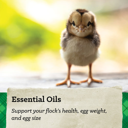 Nutrena® NatureWise® Chick Starter Grower Feed