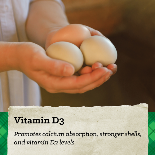 NatureWise® All Flock 20% Protein Crumble