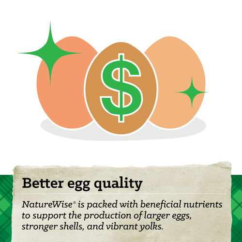 NatureWise® All Flock 20% Protein Crumble