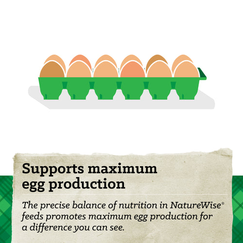 NatureWise® All Flock 20% Protein Crumble