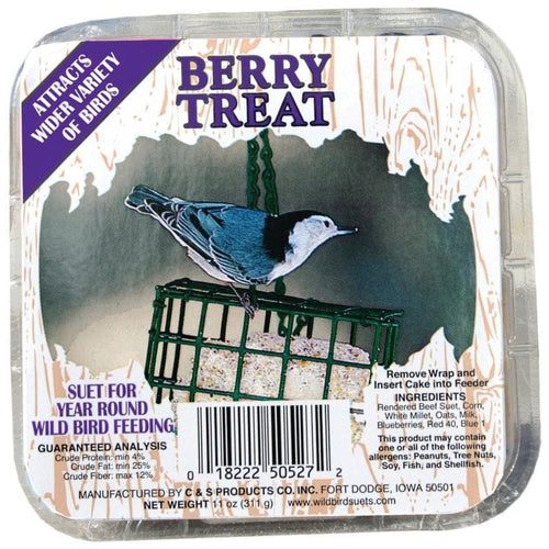 C&S Berry Treat Suet (11 oz)