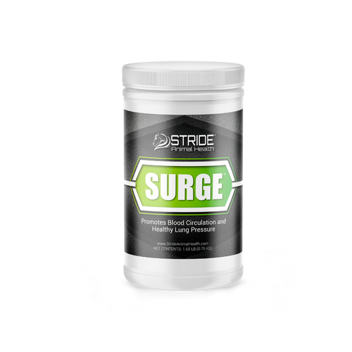 Stride Surge