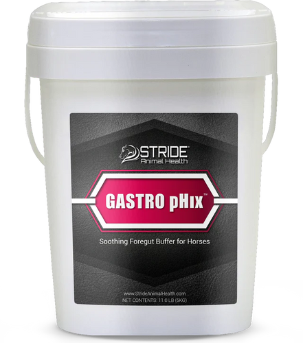 Stride Gastro pHix For Horse