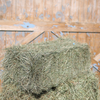 Canada 2nd Cut Timothy Grass Mix