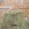 Canada 1st Cut Timothy Grass Mix