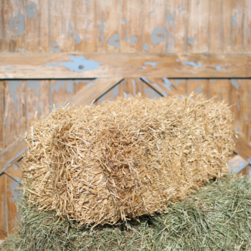 Straw