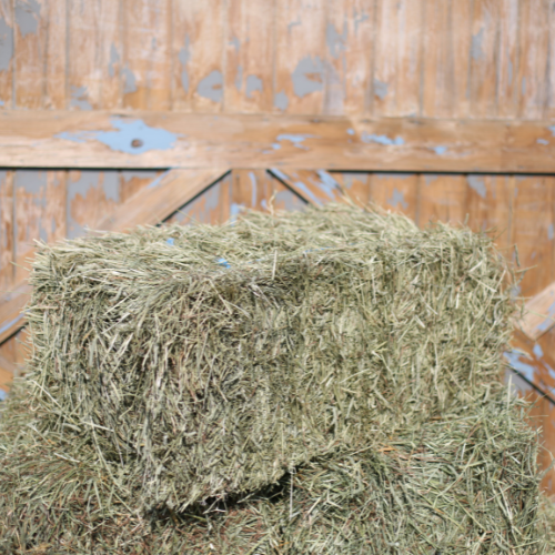 Economy 1st Cut Timothy Grass Mix