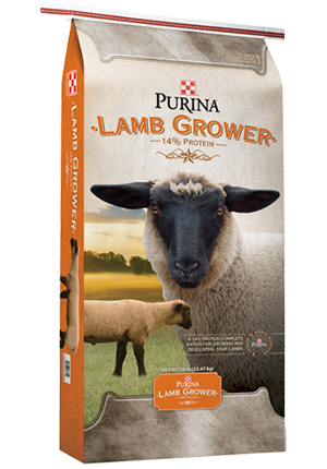 Purina® Lamb Grower