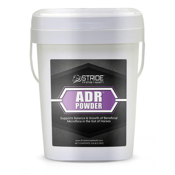 Stride ADR Powder