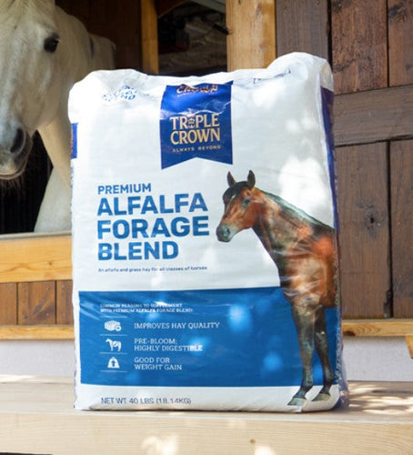 TRIPLE CROWN PREMIUM ALFALFA FORAGE BLEND