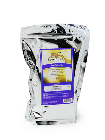 Hallway ProEntera® Horse Feed